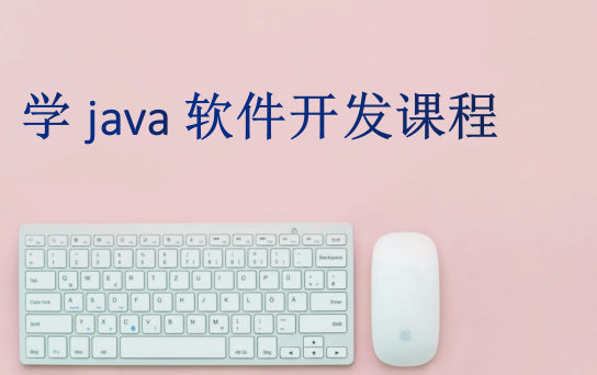 學(xué)java軟件開(kāi)發(fā)課程
