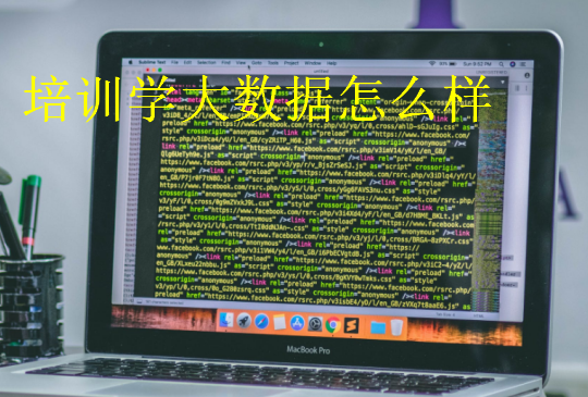 培訓(xùn)學(xué)大數(shù)據(jù)怎么樣