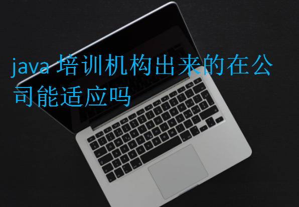 java培訓(xùn)機(jī)構(gòu)出來(lái)的在公司能適應(yīng)嗎