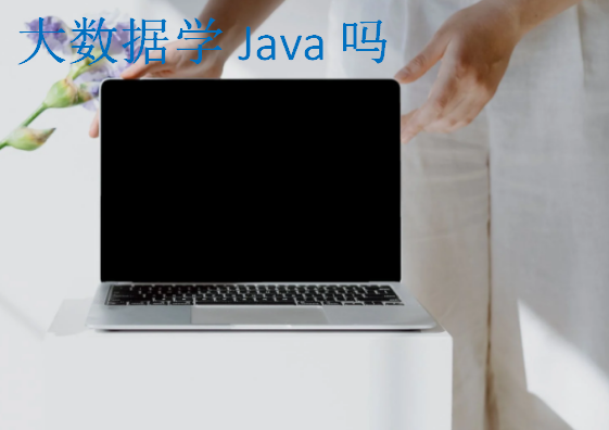 大數(shù)據(jù)學(xué)Java嗎