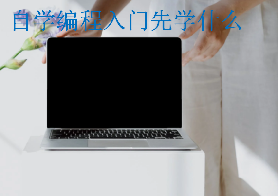 自學(xué)編程入門先學(xué)什么