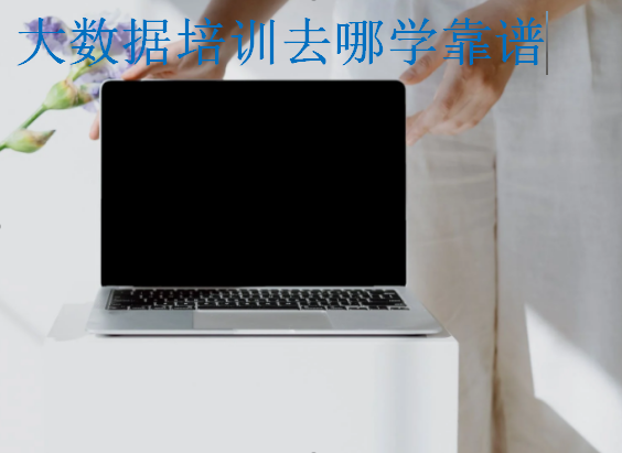大數(shù)據(jù)培訓(xùn)去哪學(xué)靠譜