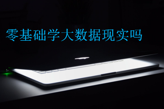 零基礎(chǔ)學(xué)大數(shù)據(jù)現(xiàn)實(shí)嗎