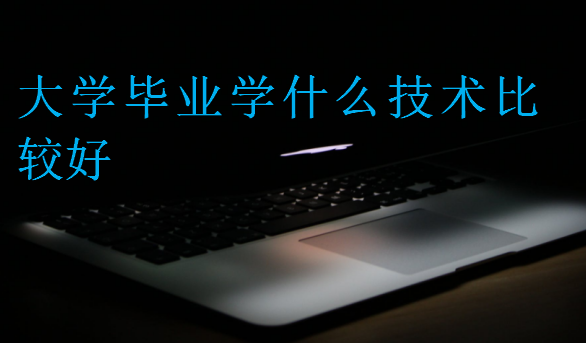 大學(xué)畢業(yè)學(xué)什么技術(shù)比較好