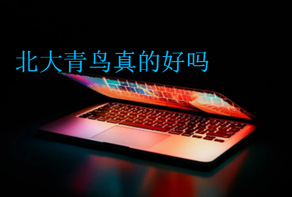 北大青鳥真的好嗎