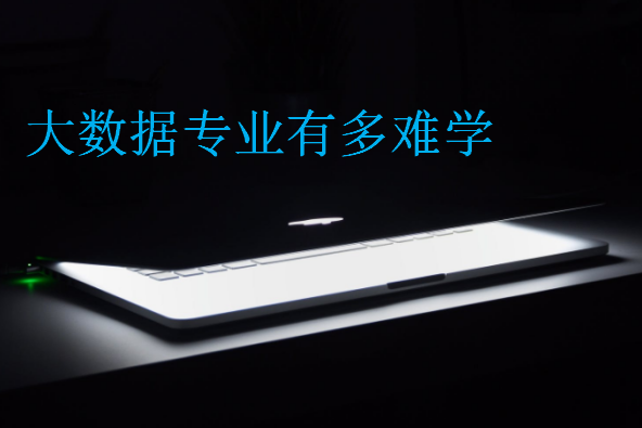大數(shù)據(jù)專業(yè)有多難學