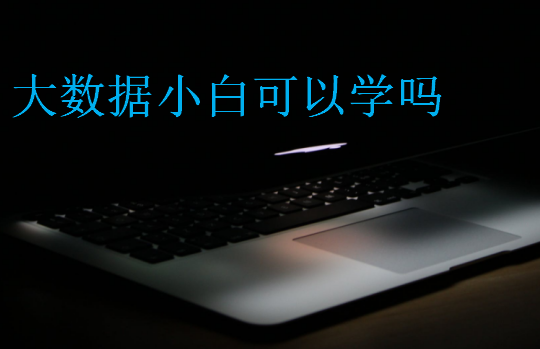 大數(shù)據(jù)小白可以學(xué)嗎