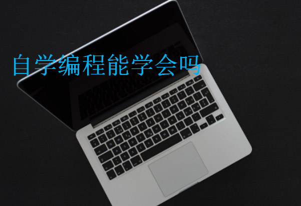 自學(xué)編程能學(xué)會嗎