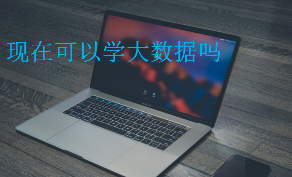 現(xiàn)在可以學(xué)大數(shù)據(jù)嗎