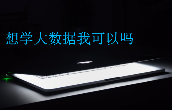 想學(xué)大數(shù)據(jù)我可以嗎