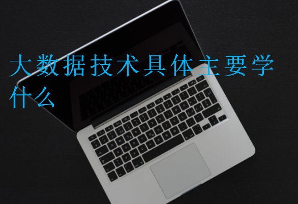 大數(shù)據(jù)技術(shù)具體主要學什么