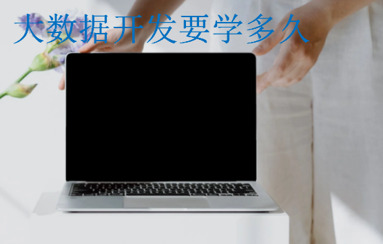 大數(shù)據(jù)開發(fā)要學(xué)多久