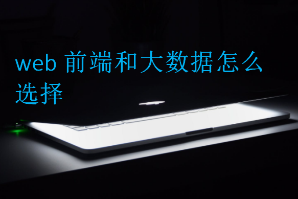 web前端和大數(shù)據(jù)怎么選擇