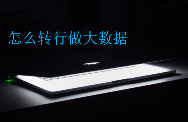 怎么轉(zhuǎn)行做大數(shù)據(jù)