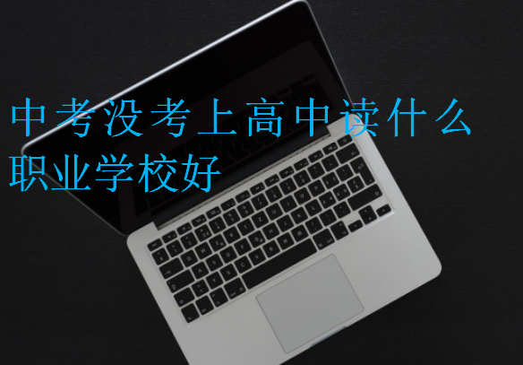 中考沒考上高中讀什么職業(yè)學校好