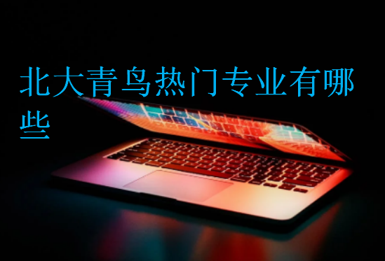 北大青鳥熱門專業(yè)有哪些