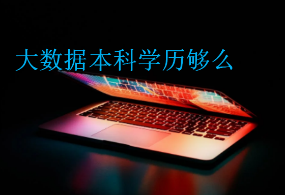 大數(shù)據(jù)本科學(xué)歷夠么