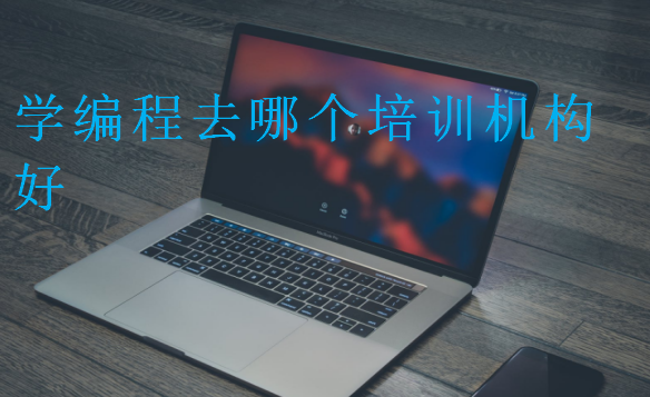 學(xué)編程去哪個(gè)培訓(xùn)機(jī)構(gòu)好