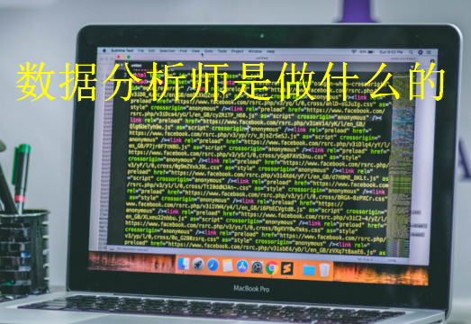 數(shù)據(jù)分析師是做什么的