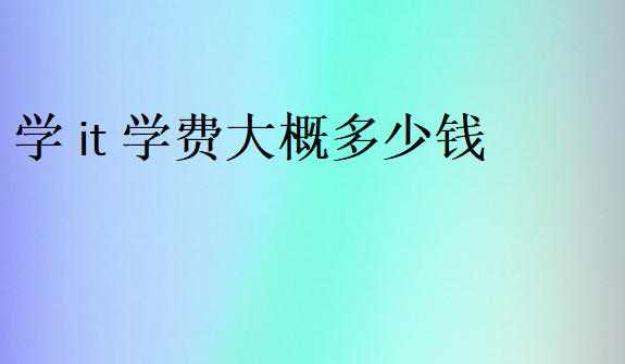 學(xué)IT太貴了