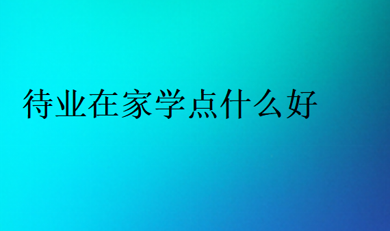 待業(yè)在家學點什么好找工作