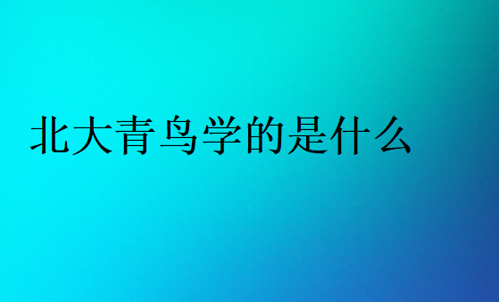 北大青鳥學(xué)的是什么