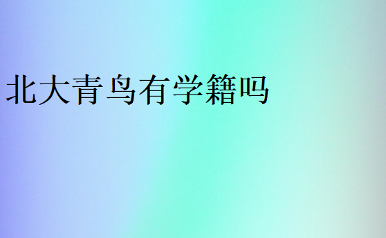 北大青鳥有學籍嗎?