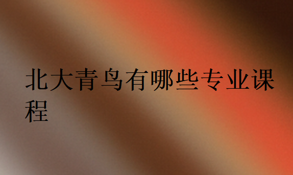北大青鳥有哪些專業(yè)課程
