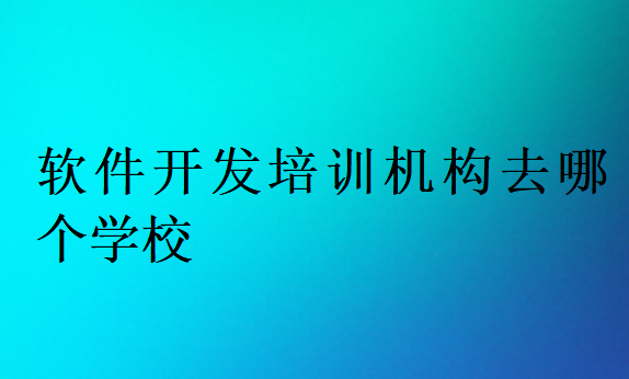 軟件開發(fā)培訓(xùn)學(xué)校哪個好