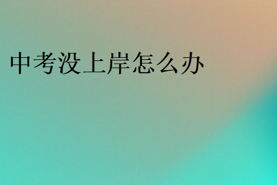 中考沒上岸怎么辦
