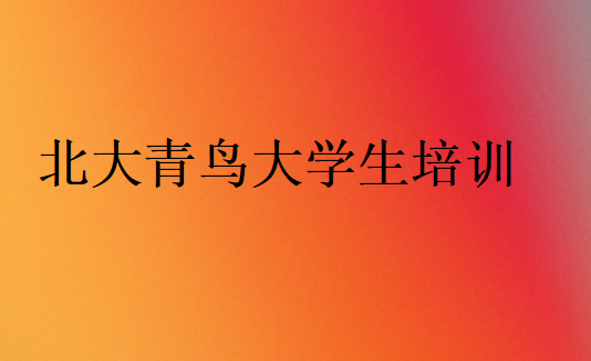 北大青鳥大學(xué)生培訓(xùn)