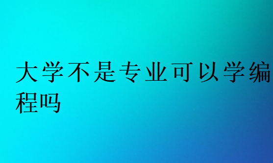 大學(xué)不是專業(yè)可以學(xué)編程嗎