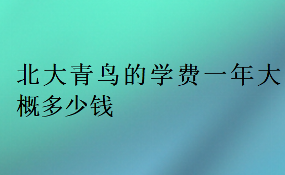 北大青鳥的學(xué)費(fèi)一年大概多少錢