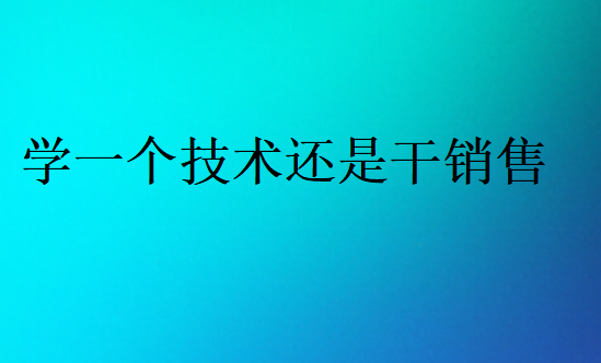學一個技術(shù)還是干銷售